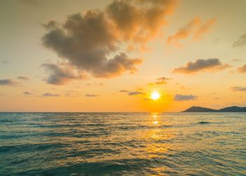 Scopri quali sono le conseguenze