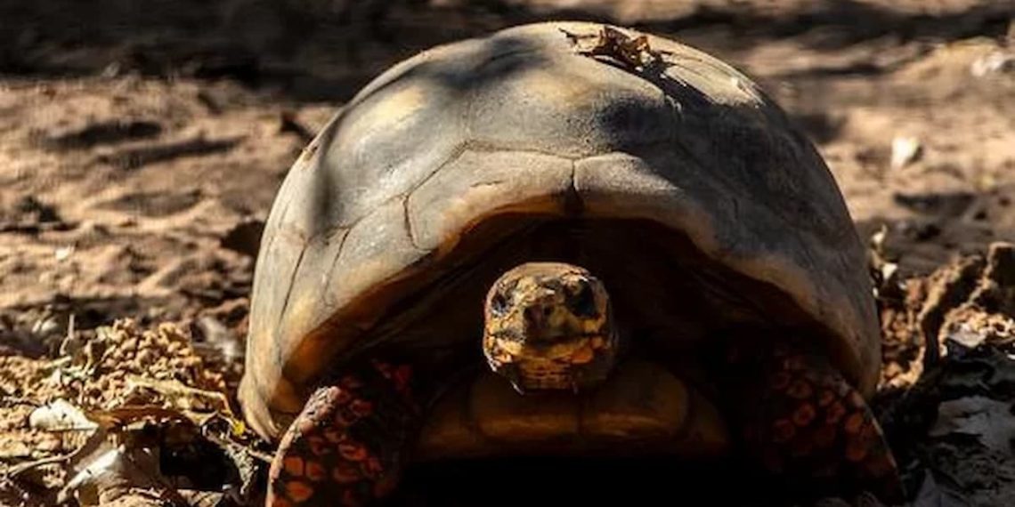 4 scoperte insolite sulle isole