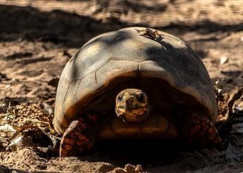4 scoperte insolite sulle isole