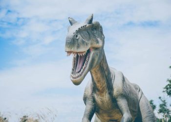 Quanti anni vivevano i dinosauri?