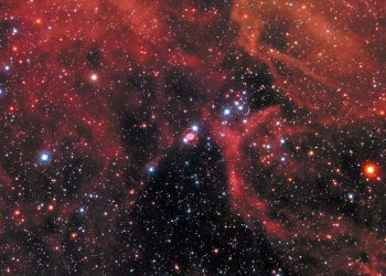 In una scoperta senza precedenti, James Webb fornisce indizi su un mistero astronomico: buco nero o stella di neutroni?  |  Scienze