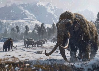 Mammut: gli scienziati creano cellule staminali in laboratorio – 10/03/2024 – Scienza