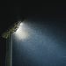 Scopri il sorprendente motivo per cui gli insetti sono attratti dalla luce Scopri il sorprendente motivo per cui gli insetti sono attratti dalla luce