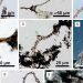 I ricercatori hanno trovato un fossile di 540 milioni di anni in MG I ricercatori hanno trovato un fossile di 540 milioni di anni in MG