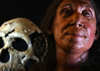 Come le metafore hanno cambiato il corso dell’evoluzione