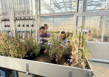 Uno scienziato brasiliano utilizza la tecnologia Maya per coltivare su Marte