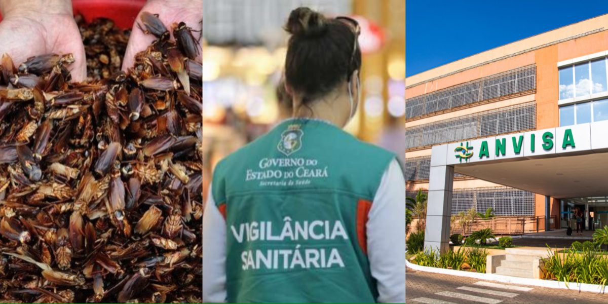 Catena di grandi magazzini n. 1 catturata dalla sorveglianza - Immagine: montaggio