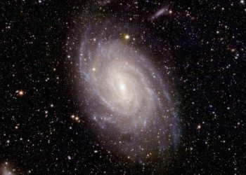 Gli astronomi hanno scoperto misteriosi segnali radio provenienti dallo spazio