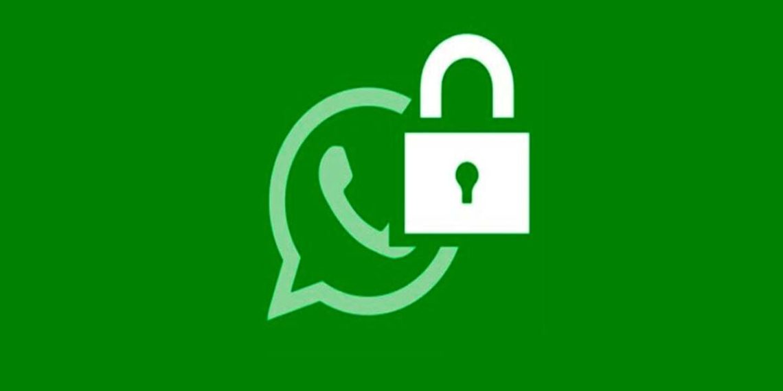 WhatsApp subirà un aggiornamento di sicurezza! Mostra tutto WhatsApp subirà un aggiornamento di sicurezza! Mostra tutto