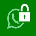 WhatsApp subirà un aggiornamento di sicurezza!  Mostra tutto WhatsApp subirà un aggiornamento di sicurezza!  Mostra tutto