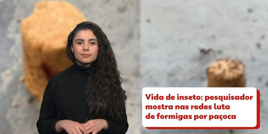 Il pianeta blu dove piove vetro e puzza di uova marce e scorregge |  Scienze