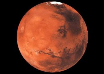 Resistenti alle condizioni estreme, le alghe terrestri potrebbero essere vitali su Marte