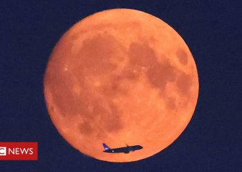 Super Blue Moon: perché la luna piena di agosto si chiama così?